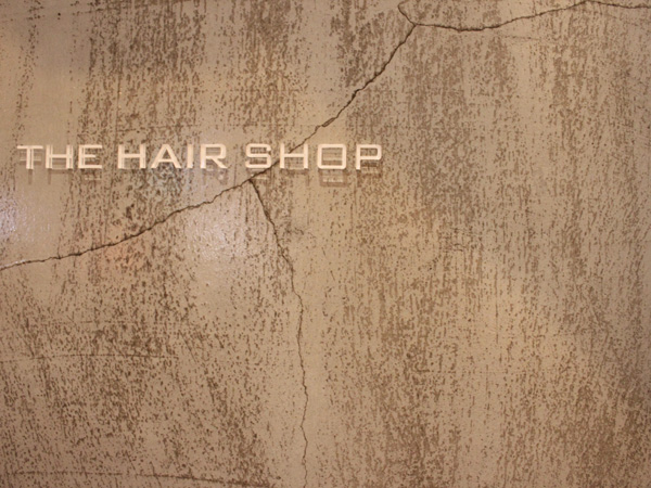 THE HAIR SHOP3